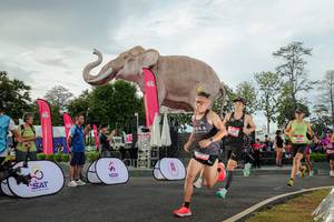 BIB: 
                            <button type="button" onclick="openModal(26528262)" class="btn btn-primary btn-sm float-right btn-popup" data-toggle="modal" data-target=".modal-high-quality">
                        <i class="fas fa-shopping-cart"></i> Add to Cart
                    </button>
                                            <button type="button" onclick="isThisMe(26528262, true)" class="btn btn-success btn-sm float-right btn-popup btn-isme hidden" data-toggle="tooltip" data-placement="bottom" title="นี่คือรูปของคุณใช่ไหม คลิกที่นี่เพื่อเอาเข้าอัลบั้ม">
                        <i class="fas fa-plus"></i> Add to album
                    </button>
                    <button type="button" onclick="isThisMe(26528262, false)" class="btn btn-warning btn-sm float-right btn-popup btn-isnotme hidden">
                        <i class="fas fa-ban"></i> Remove from album
                    </button>